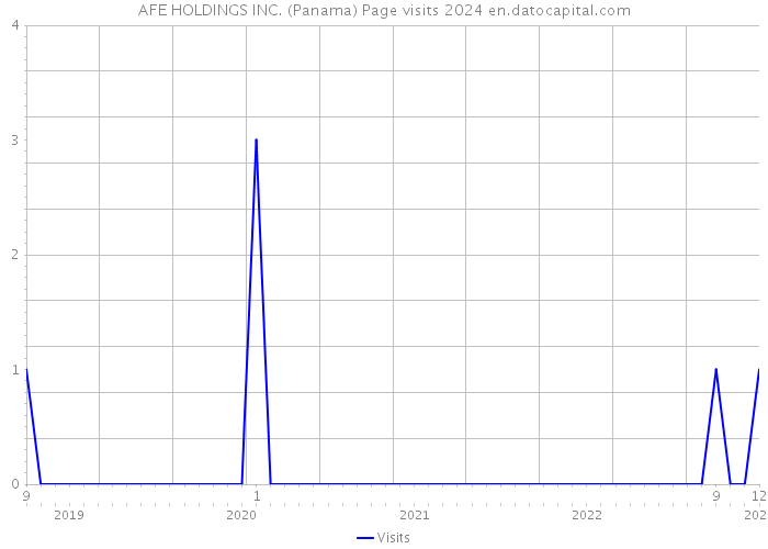 AFE HOLDINGS INC. (Panama) Page visits 2024 