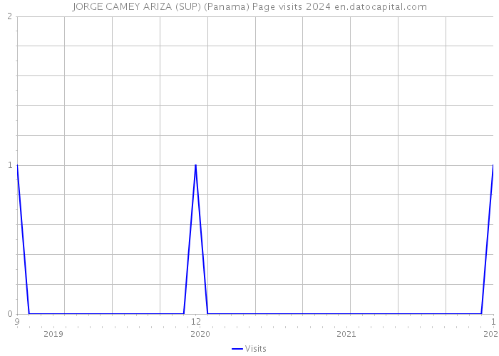 JORGE CAMEY ARIZA (SUP) (Panama) Page visits 2024 