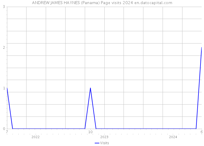 ANDREW JAMES HAYNES (Panama) Page visits 2024 