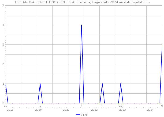 TERRANOVA CONSULTING GROUP S.A. (Panama) Page visits 2024 