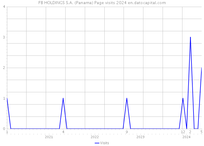 FB HOLDINGS S.A. (Panama) Page visits 2024 