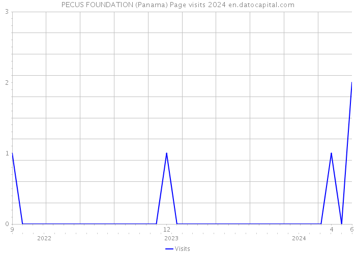 PECUS FOUNDATION (Panama) Page visits 2024 