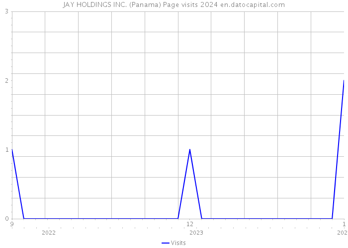 JAY HOLDINGS INC. (Panama) Page visits 2024 