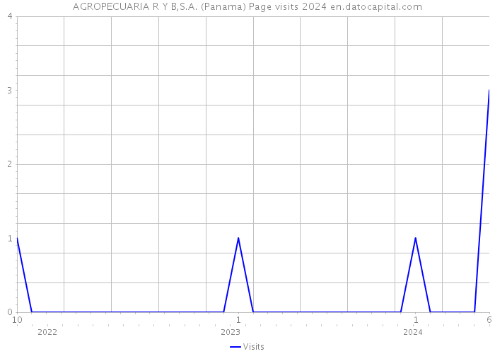 AGROPECUARIA R Y B,S.A. (Panama) Page visits 2024 
