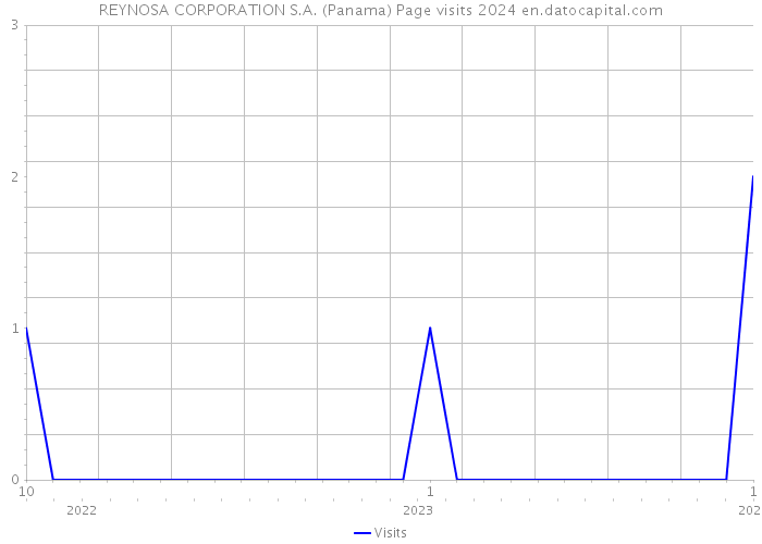 REYNOSA CORPORATION S.A. (Panama) Page visits 2024 