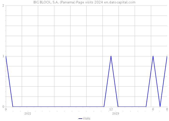 BIG BLOCK, S.A. (Panama) Page visits 2024 