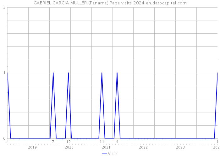 GABRIEL GARCIA MULLER (Panama) Page visits 2024 