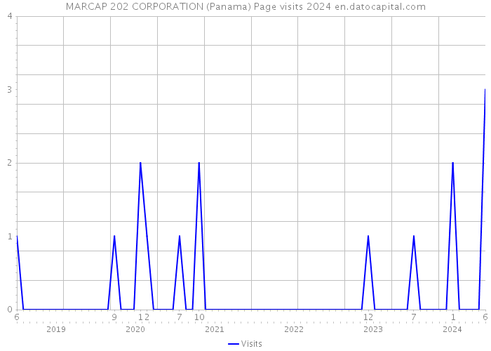 MARCAP 202 CORPORATION (Panama) Page visits 2024 