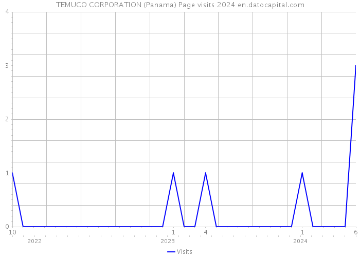 TEMUCO CORPORATION (Panama) Page visits 2024 