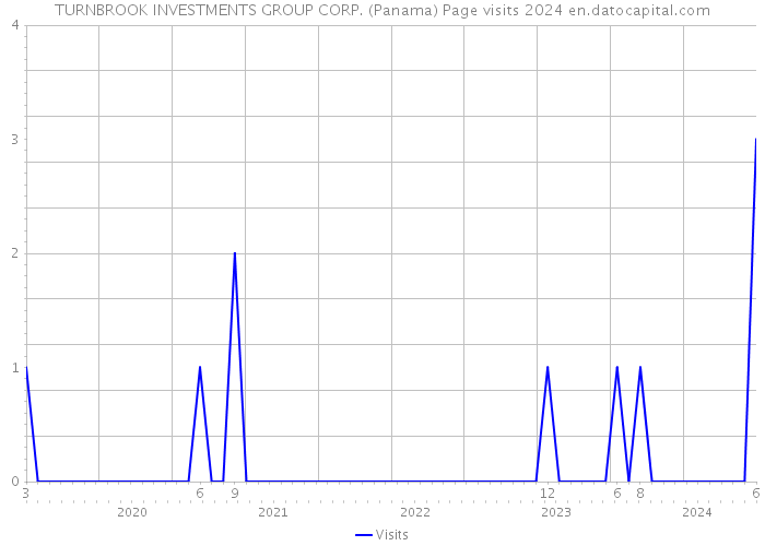 TURNBROOK INVESTMENTS GROUP CORP. (Panama) Page visits 2024 