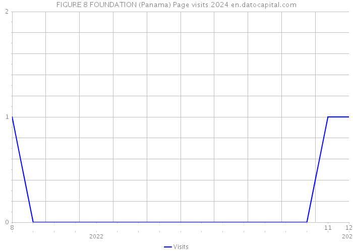 FIGURE 8 FOUNDATION (Panama) Page visits 2024 