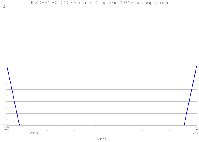 BRADMAN HOLDING S.A. (Panama) Page visits 2024 