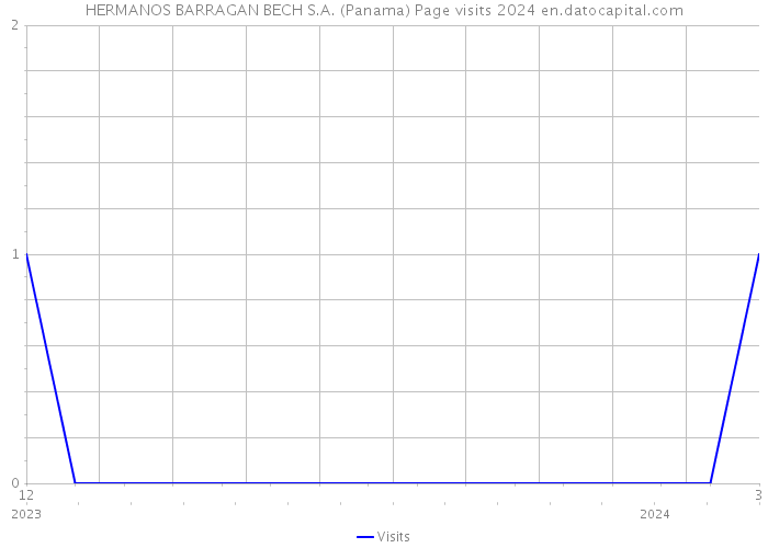 HERMANOS BARRAGAN BECH S.A. (Panama) Page visits 2024 