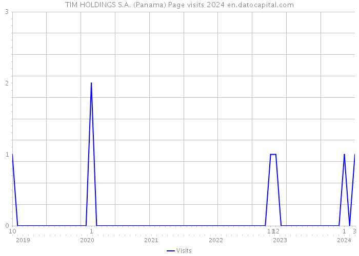 TIM HOLDINGS S.A. (Panama) Page visits 2024 