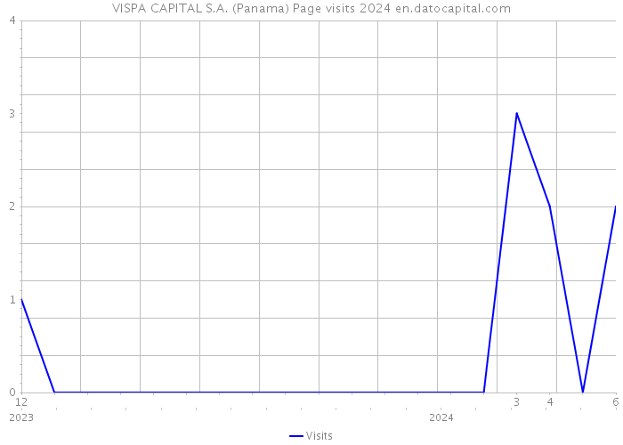 VISPA CAPITAL S.A. (Panama) Page visits 2024 