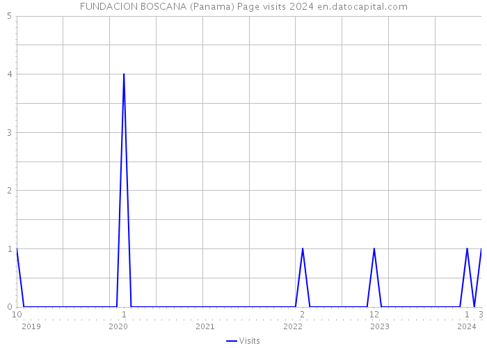 FUNDACION BOSCANA (Panama) Page visits 2024 
