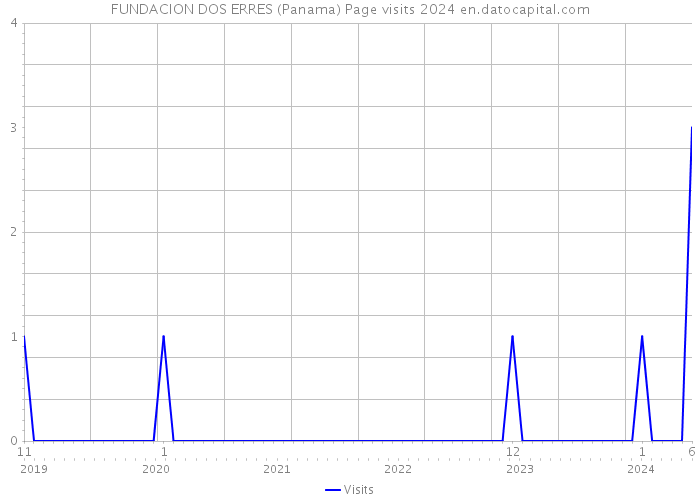 FUNDACION DOS ERRES (Panama) Page visits 2024 