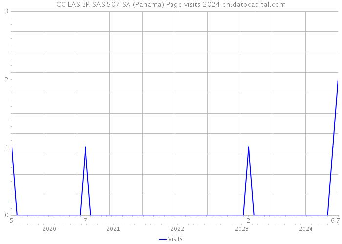 CC LAS BRISAS 507 SA (Panama) Page visits 2024 