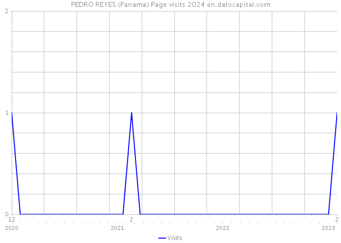 PEDRO REYES (Panama) Page visits 2024 