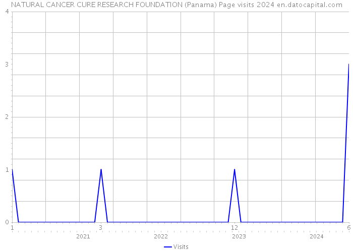 NATURAL CANCER CURE RESEARCH FOUNDATION (Panama) Page visits 2024 