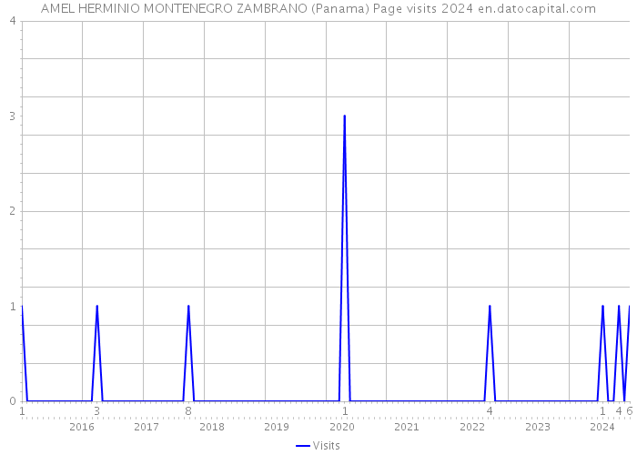 AMEL HERMINIO MONTENEGRO ZAMBRANO (Panama) Page visits 2024 