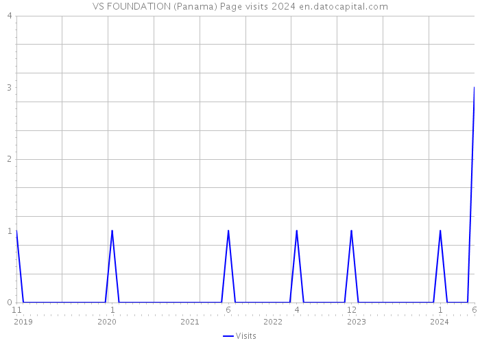 VS FOUNDATION (Panama) Page visits 2024 