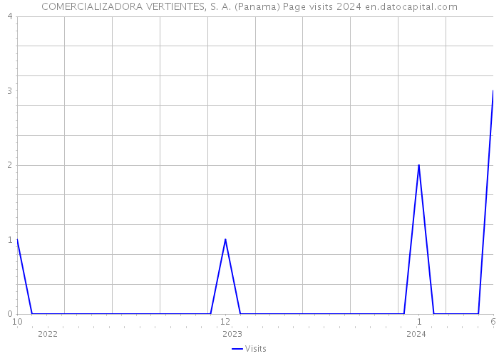 COMERCIALIZADORA VERTIENTES, S. A. (Panama) Page visits 2024 