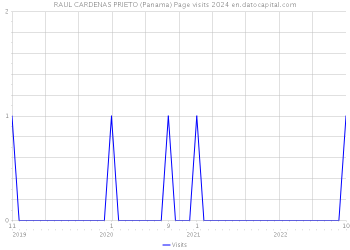 RAUL CARDENAS PRIETO (Panama) Page visits 2024 