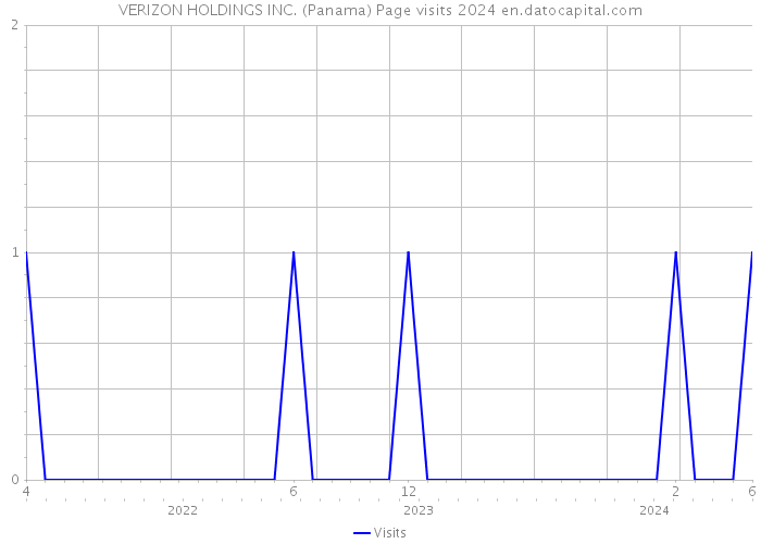 VERIZON HOLDINGS INC. (Panama) Page visits 2024 