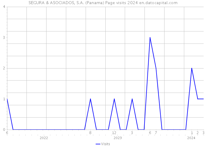 SEGURA & ASOCIADOS, S.A. (Panama) Page visits 2024 