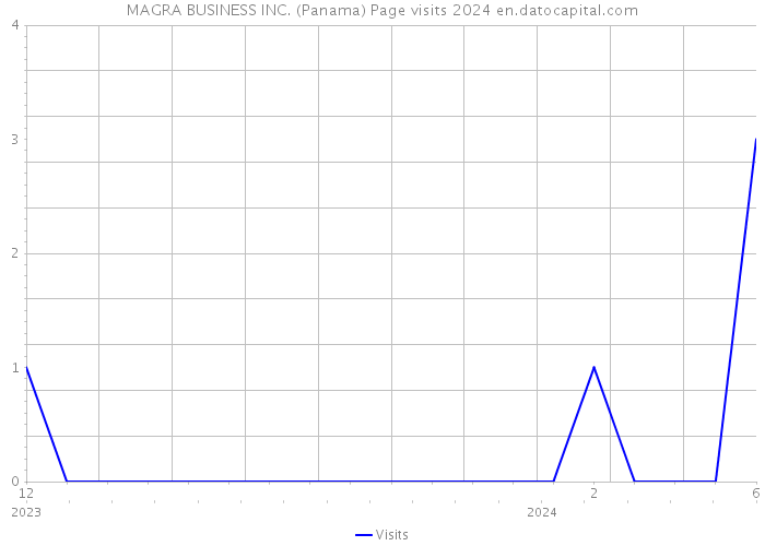 MAGRA BUSINESS INC. (Panama) Page visits 2024 