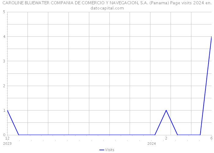 CAROLINE BLUEWATER COMPANIA DE COMERCIO Y NAVEGACION, S.A. (Panama) Page visits 2024 