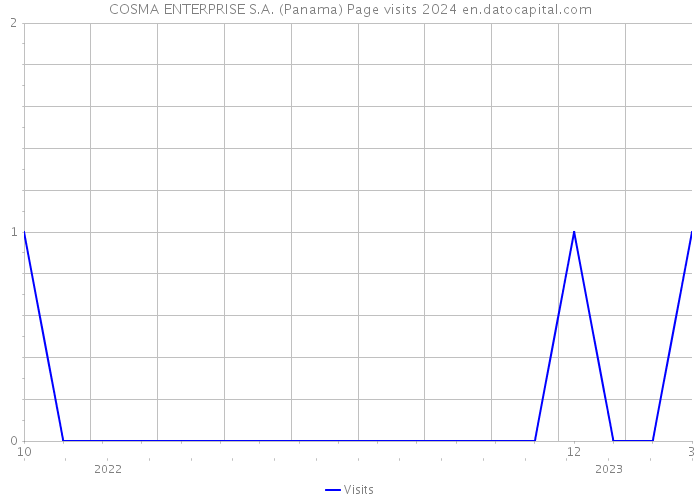 COSMA ENTERPRISE S.A. (Panama) Page visits 2024 