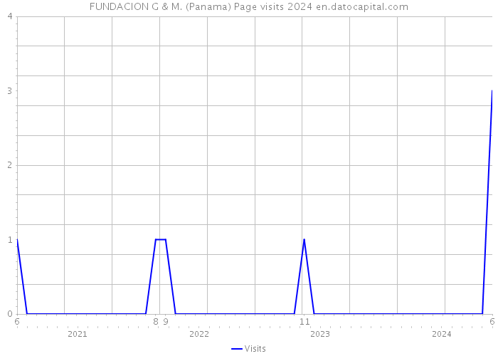 FUNDACION G & M. (Panama) Page visits 2024 