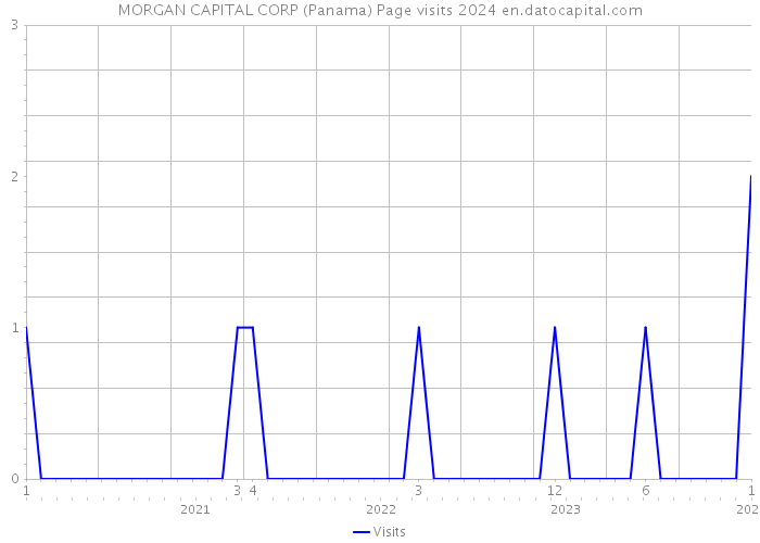 MORGAN CAPITAL CORP (Panama) Page visits 2024 