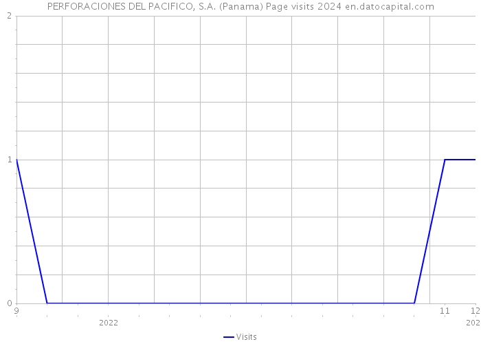 PERFORACIONES DEL PACIFICO, S.A. (Panama) Page visits 2024 