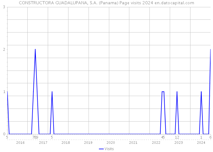 CONSTRUCTORA GUADALUPANA, S.A. (Panama) Page visits 2024 