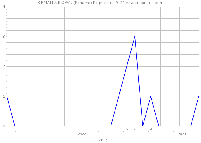 BIRMANIA BROWN (Panama) Page visits 2024 