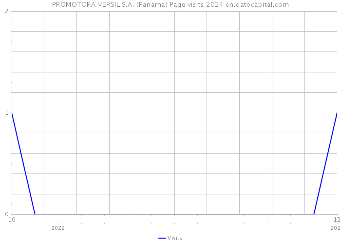 PROMOTORA VERSIL S.A. (Panama) Page visits 2024 