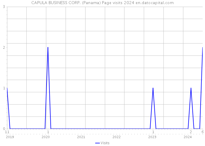 CAPULA BUSINESS CORP. (Panama) Page visits 2024 