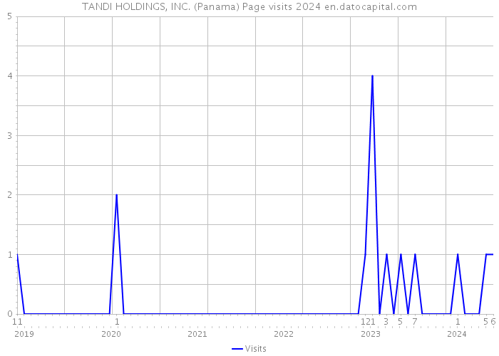 TANDI HOLDINGS, INC. (Panama) Page visits 2024 