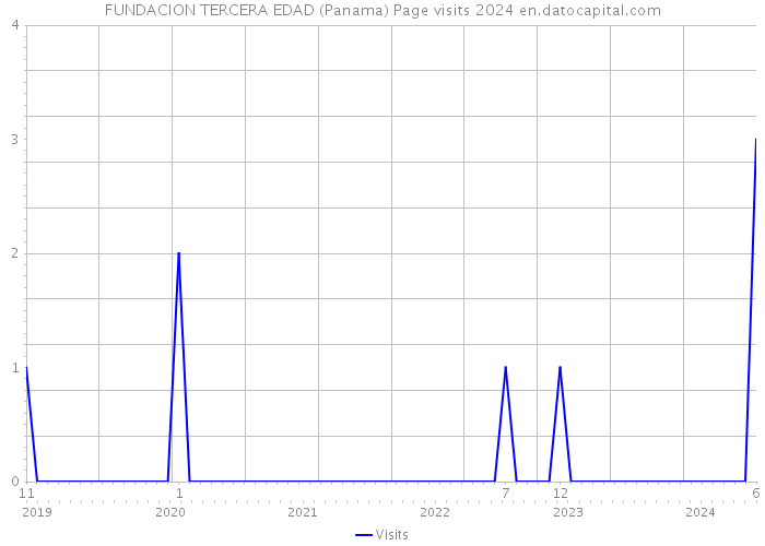 FUNDACION TERCERA EDAD (Panama) Page visits 2024 