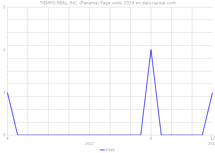 TIEMPO REAL, INC. (Panama) Page visits 2024 