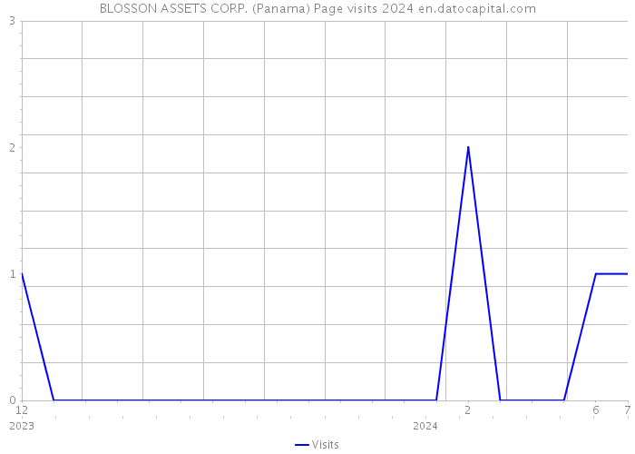 BLOSSON ASSETS CORP. (Panama) Page visits 2024 