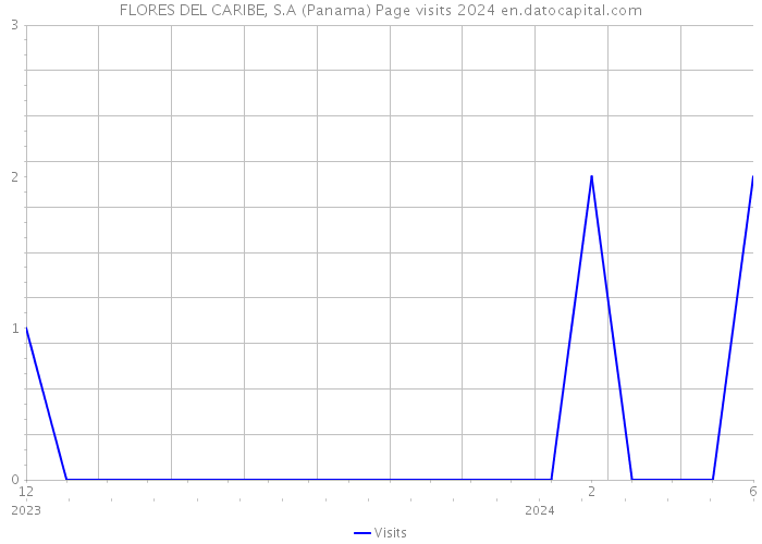 FLORES DEL CARIBE, S.A (Panama) Page visits 2024 