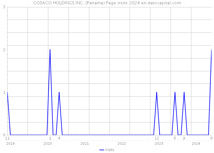 COSACO HOLDINGS INC. (Panama) Page visits 2024 