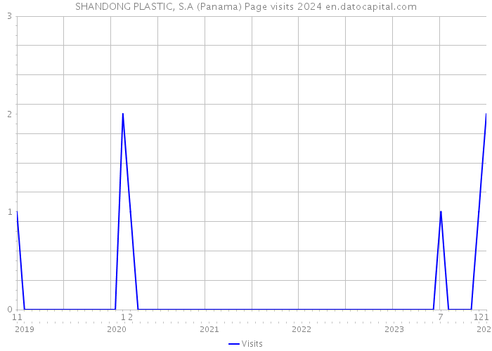 SHANDONG PLASTIC, S.A (Panama) Page visits 2024 