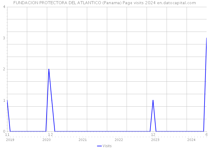 FUNDACION PROTECTORA DEL ATLANTICO (Panama) Page visits 2024 