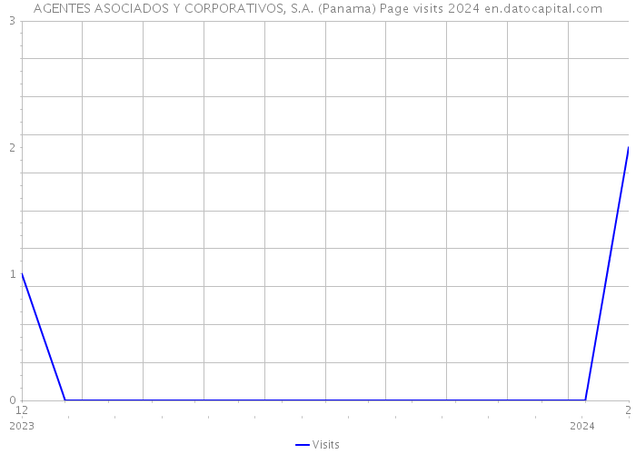 AGENTES ASOCIADOS Y CORPORATIVOS, S.A. (Panama) Page visits 2024 