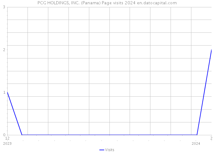 PCG HOLDINGS, INC. (Panama) Page visits 2024 